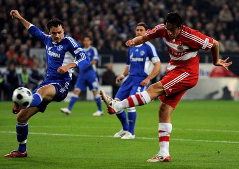 发展奠定了 发展奠定了